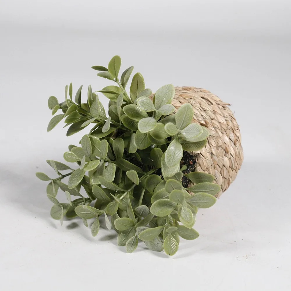 Green Artificial Potted Plant Eucalyptus Grass 11cm Artificial Plants Plastic