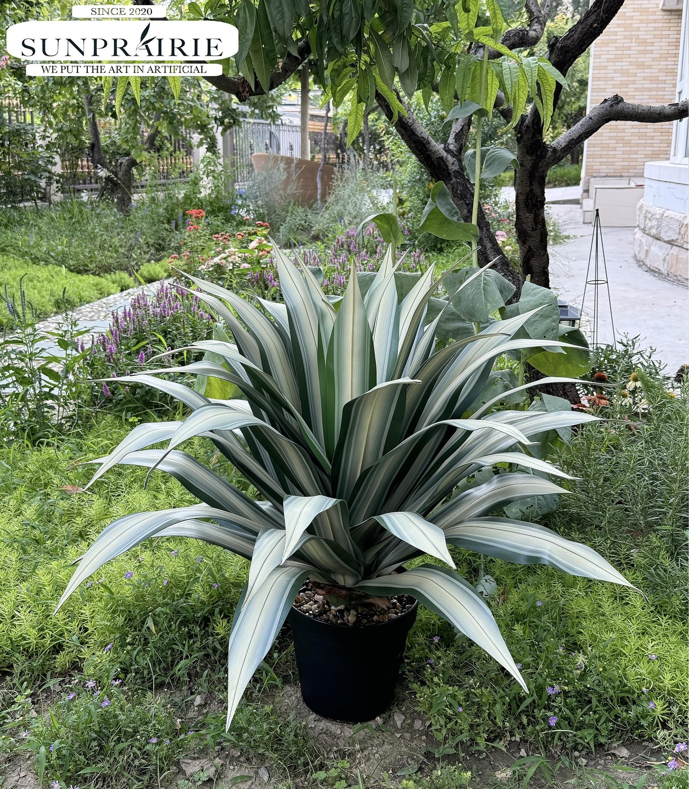 Life-Like Extra Large 34 Inch Tall Artificial Agave Plant. Cream Leaves with …