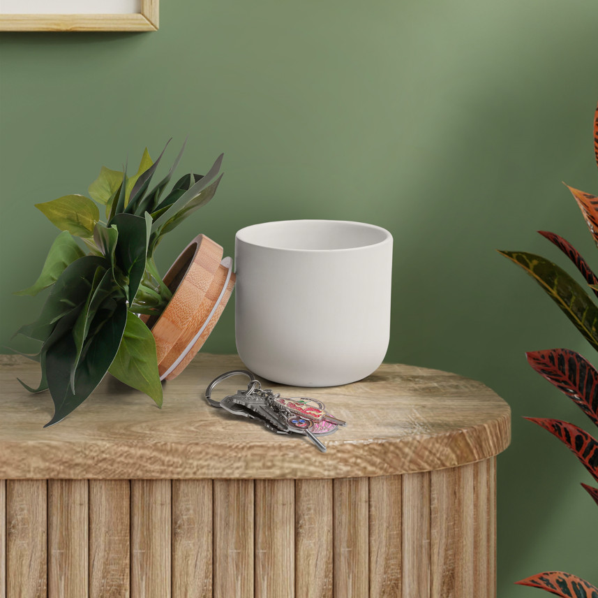Decorative Plant Storage Jar | Great For: Office, Desk, Pet Treats, Gift, Etc.