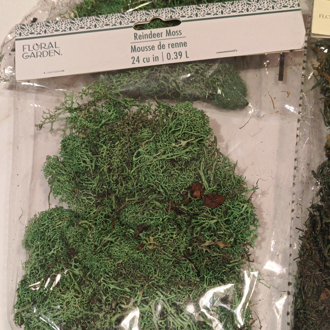 FLORAL GARDEN LOT – 1 -Floral Moss – 67 Cu. In. and 3 Reindeer Moss 24 Cu. In.