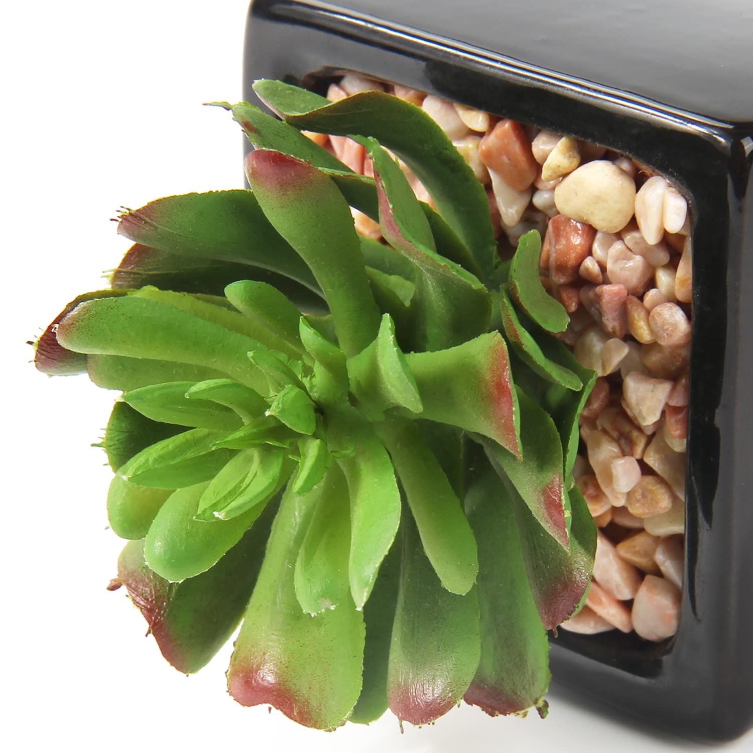 Small Succulents Artificial 3 Pcs Faux Succulents in Pots Fake Succulent Plan…