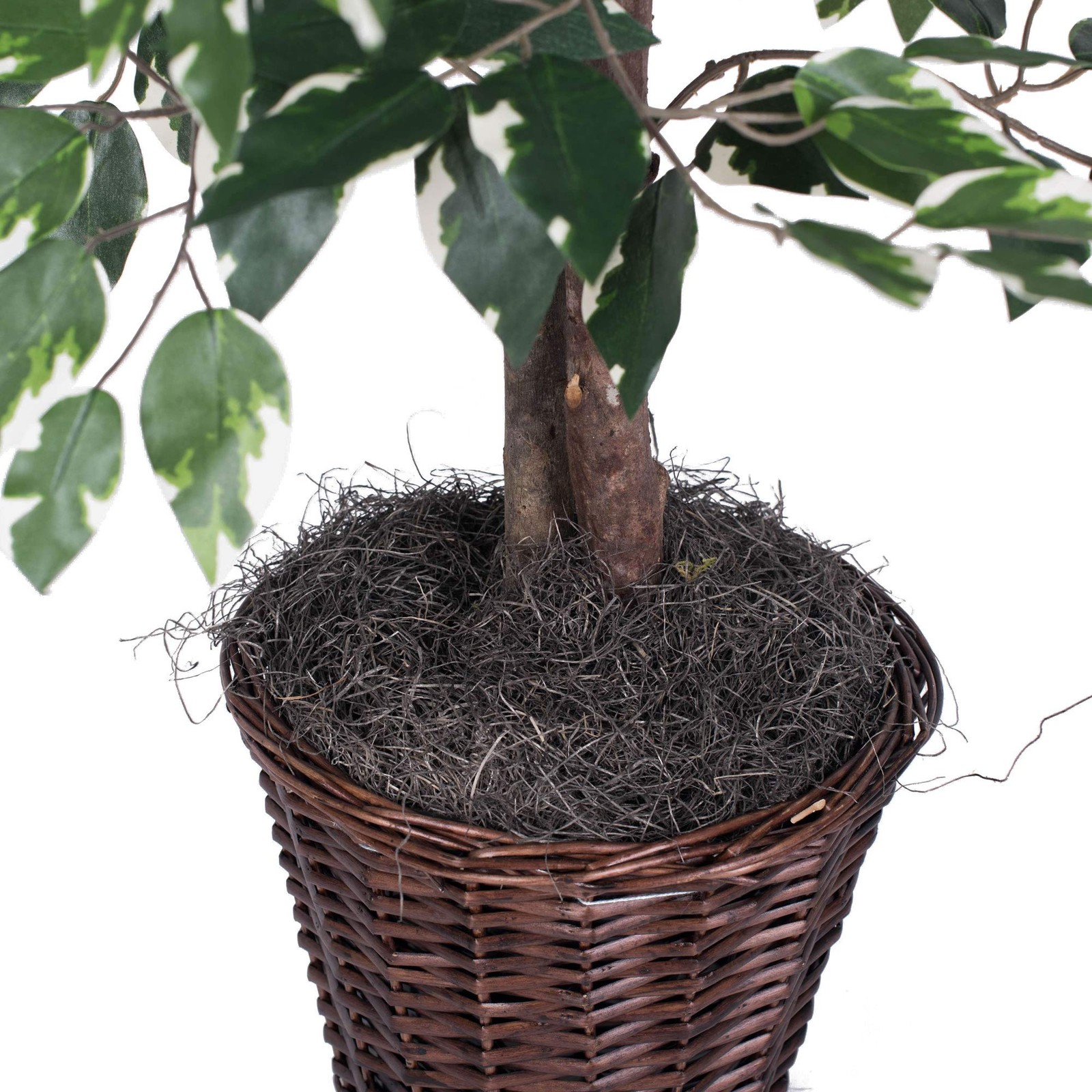 Pemberly Row 4′ Artificial Variegated Ficus Bush w/ Rattan Basket in Green/White