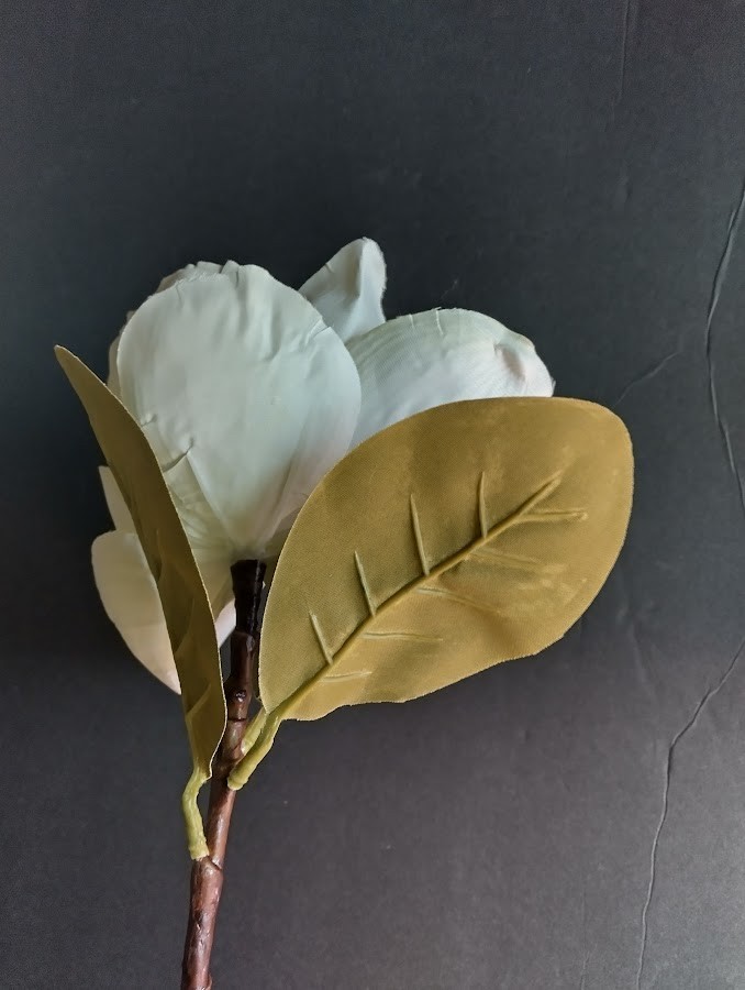 Magnolia stem CREAM