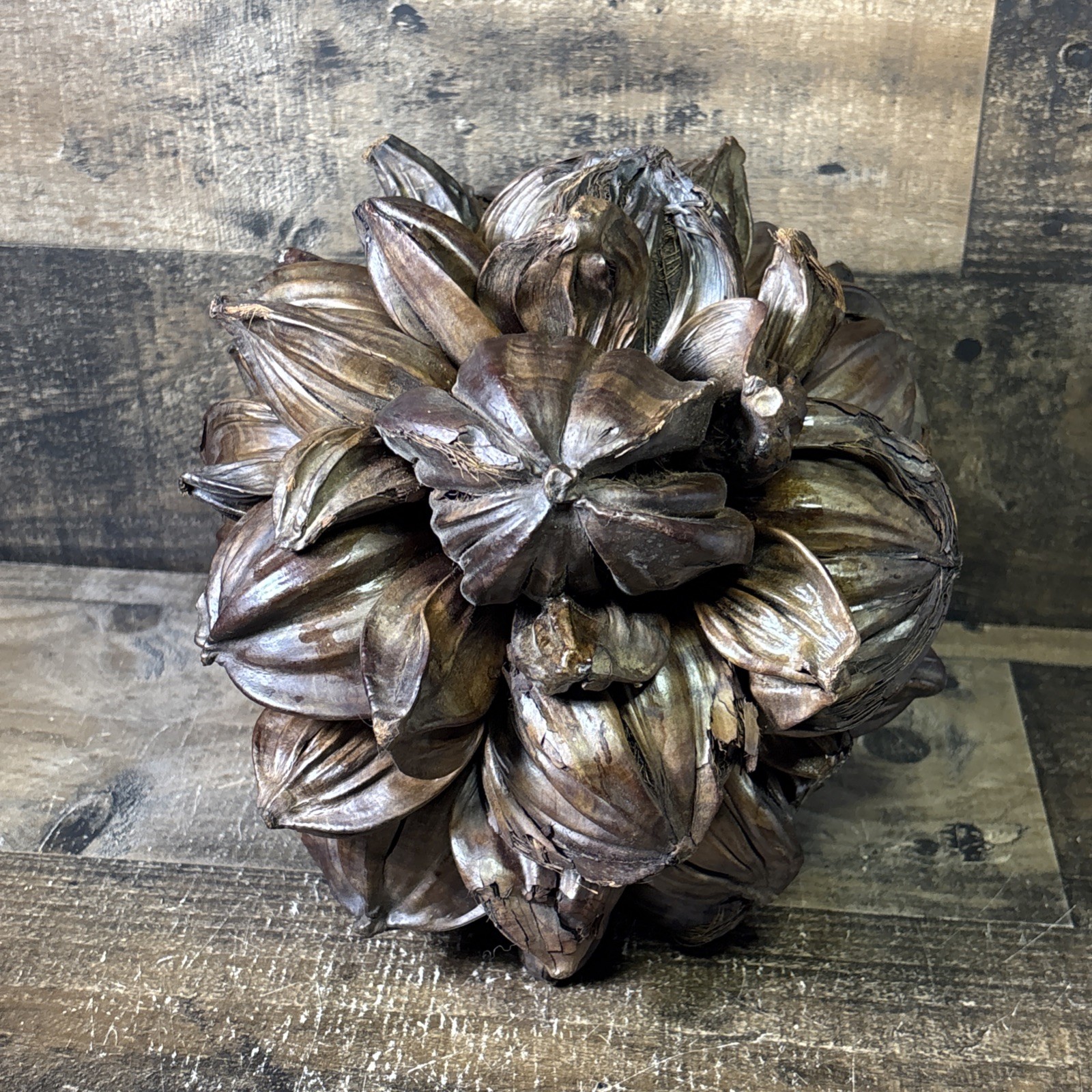 Vietnamese Water Coconut Nipa Palm Fruit Cluster Seed Pod Decor Decoration