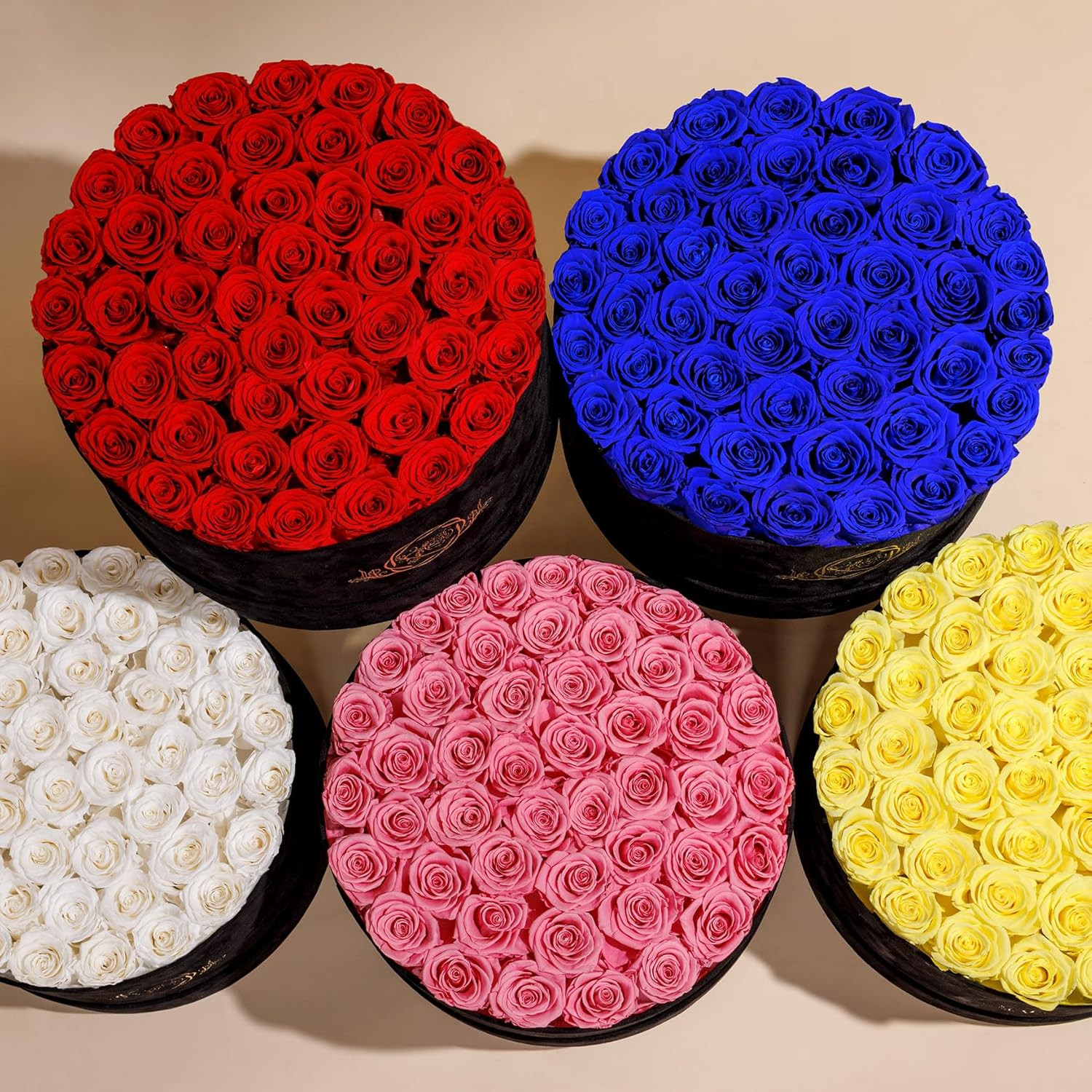Luxury Suede Box of 47 Preserved Flowers – Perfect Birthday Gift for Her