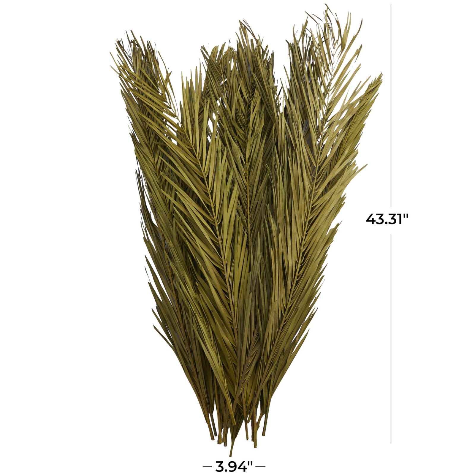 Dried Plant Palm Leaf Home Decor Natural Foliage Natural Dried Foliage with F…