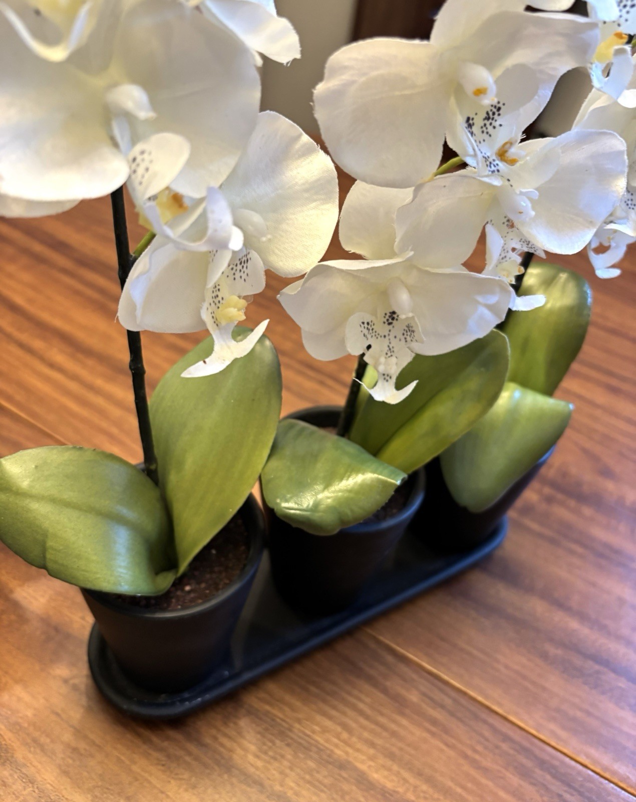 Silk Flowers In Pots Table Shelf Decor Two Arrangements Orchids