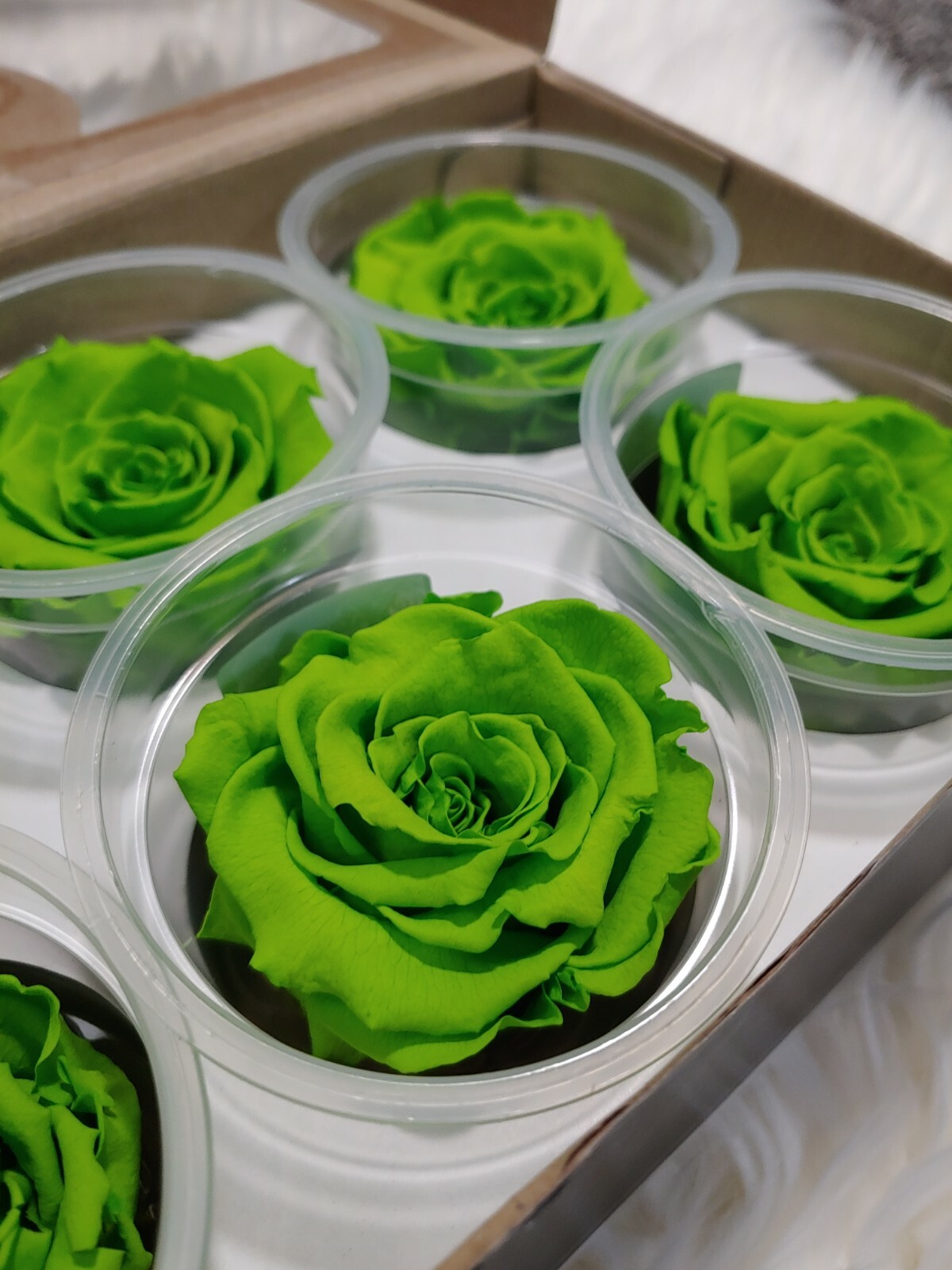 Preserved Roses – Eternity Rose – Mothers Day – Lime Green – 6 Pack