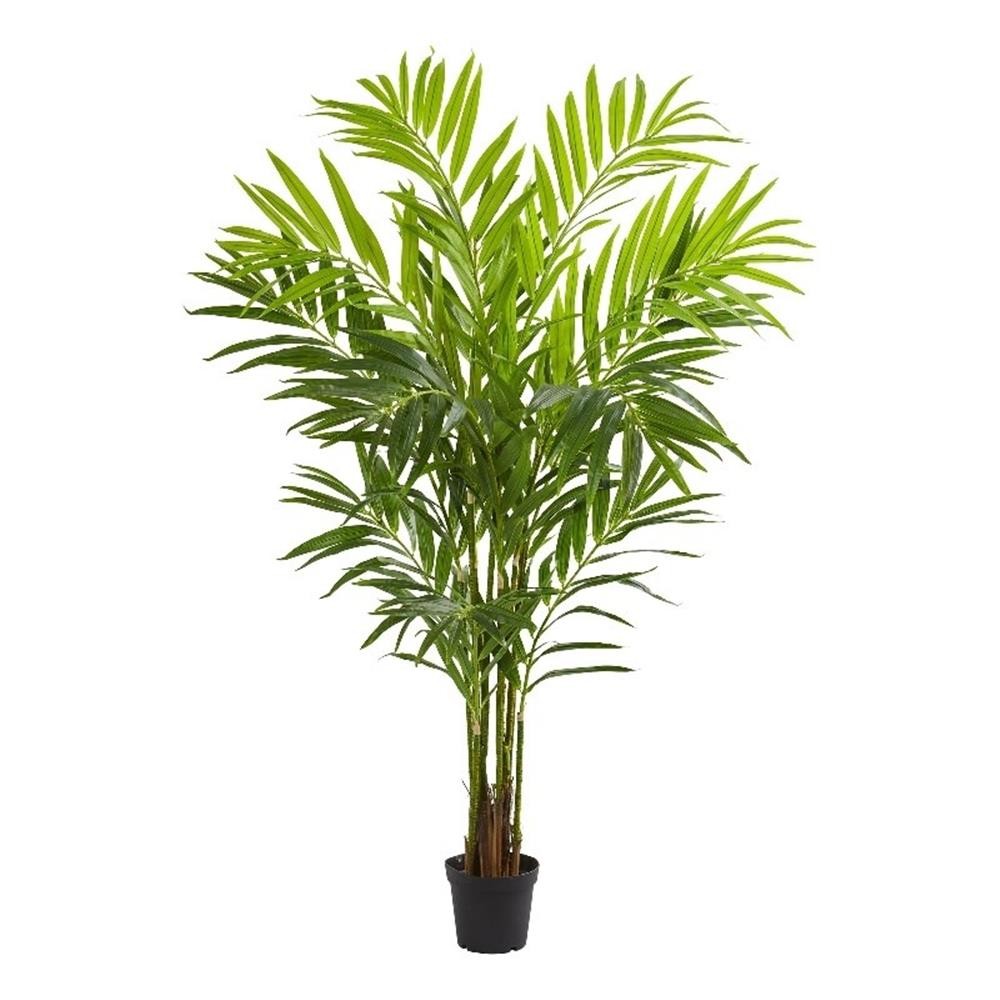 Pemberly Row King Palm Artificial Tree with Feather-Like Foliage – Green/Black