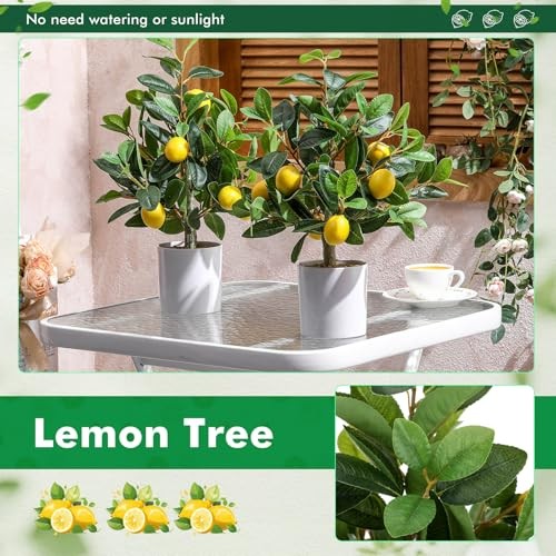 Pcs Artificial Lemon Tree 15.7 Inches Fake Artificial Potted 2 White Pot