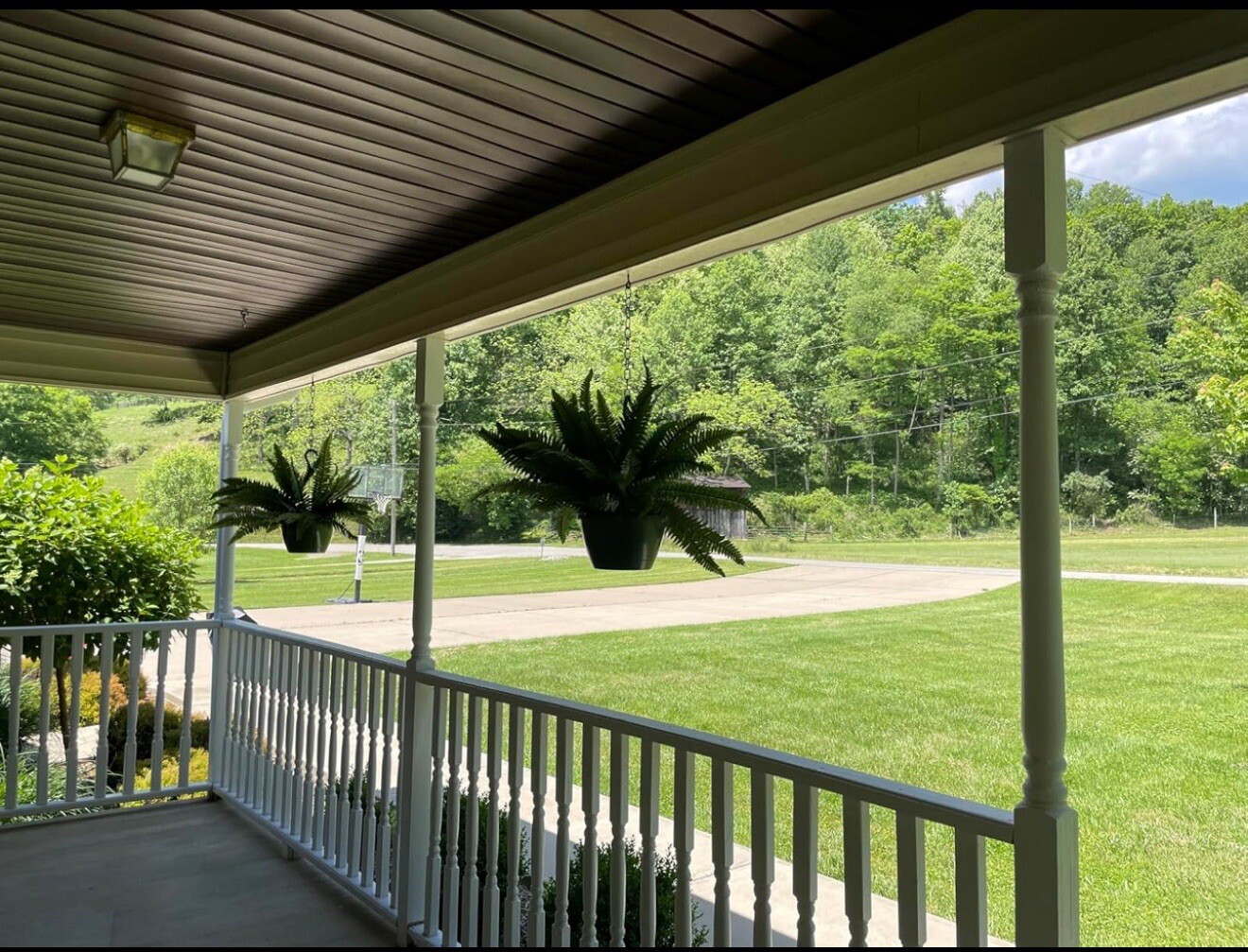 48″ Boston Fern Artificial Bush Plant Pack 2. Retail $103