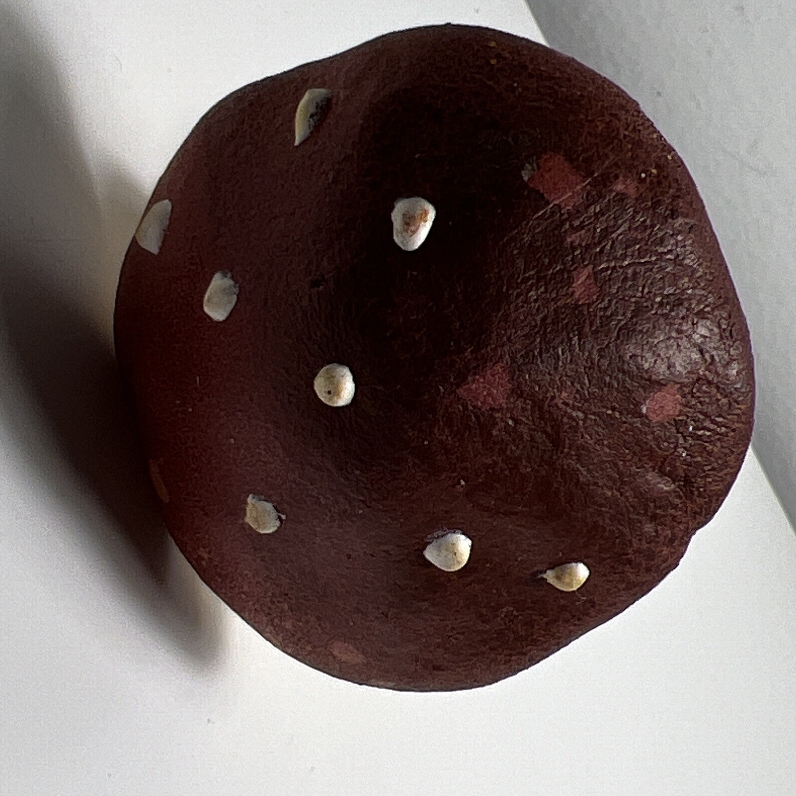Vintage Red Rubber Foam Realistic Mushroom Decoration Fairy Garden Wire Stem 5″