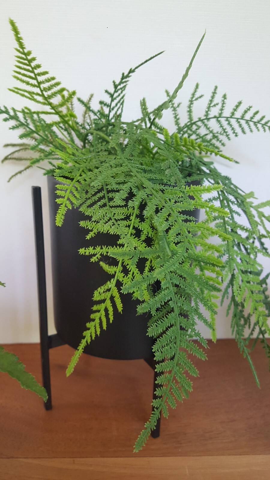 Artificial Fern Stems Matte Black Cylinder Pottery Planter/Stand