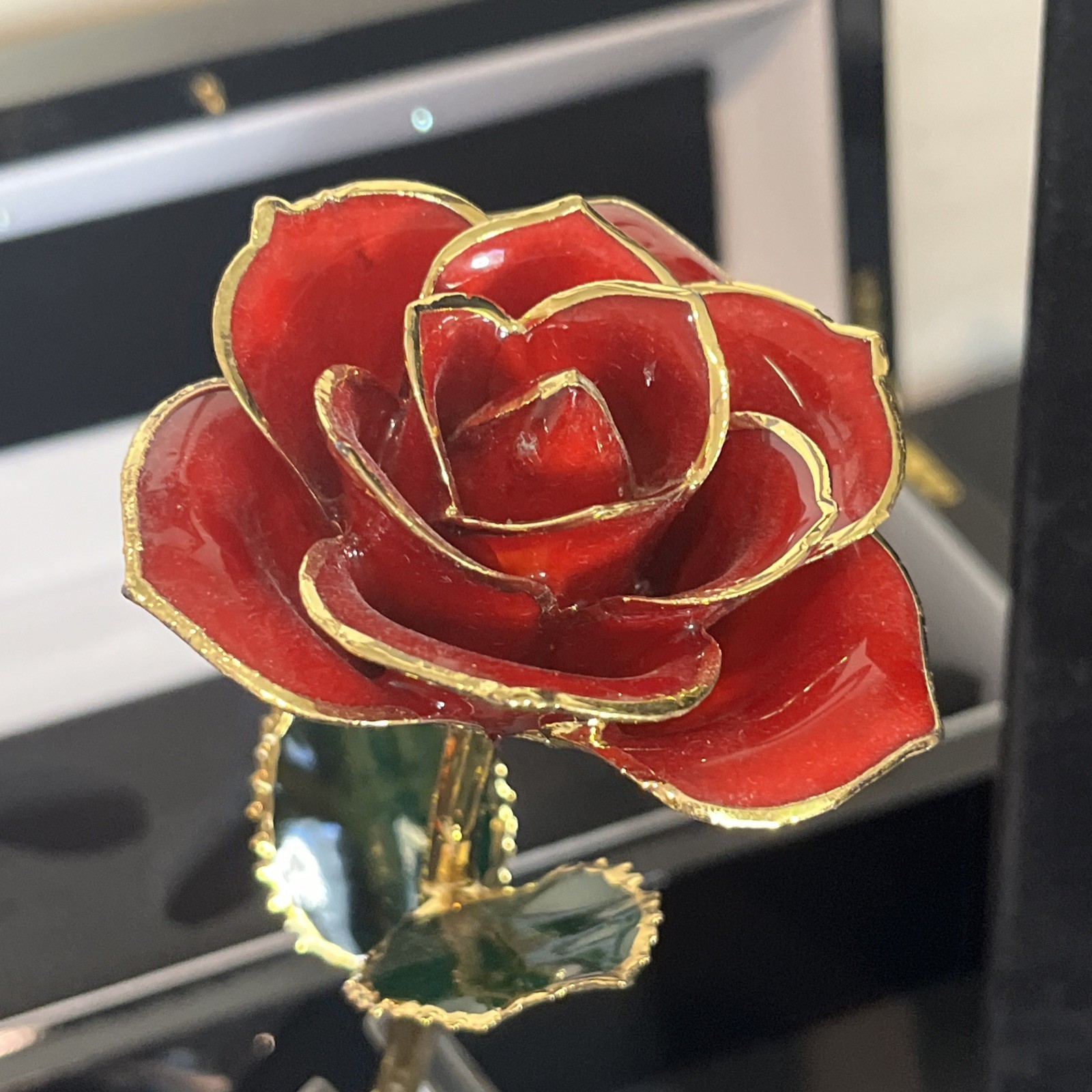 Erternal Rose Eternal Love 24k Gold Dipped Real Rose With Lighted Hard Case 11.5