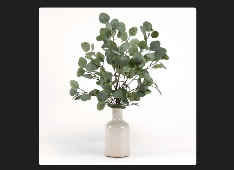 Primrue Eucalyptus In Ceramic Bottle