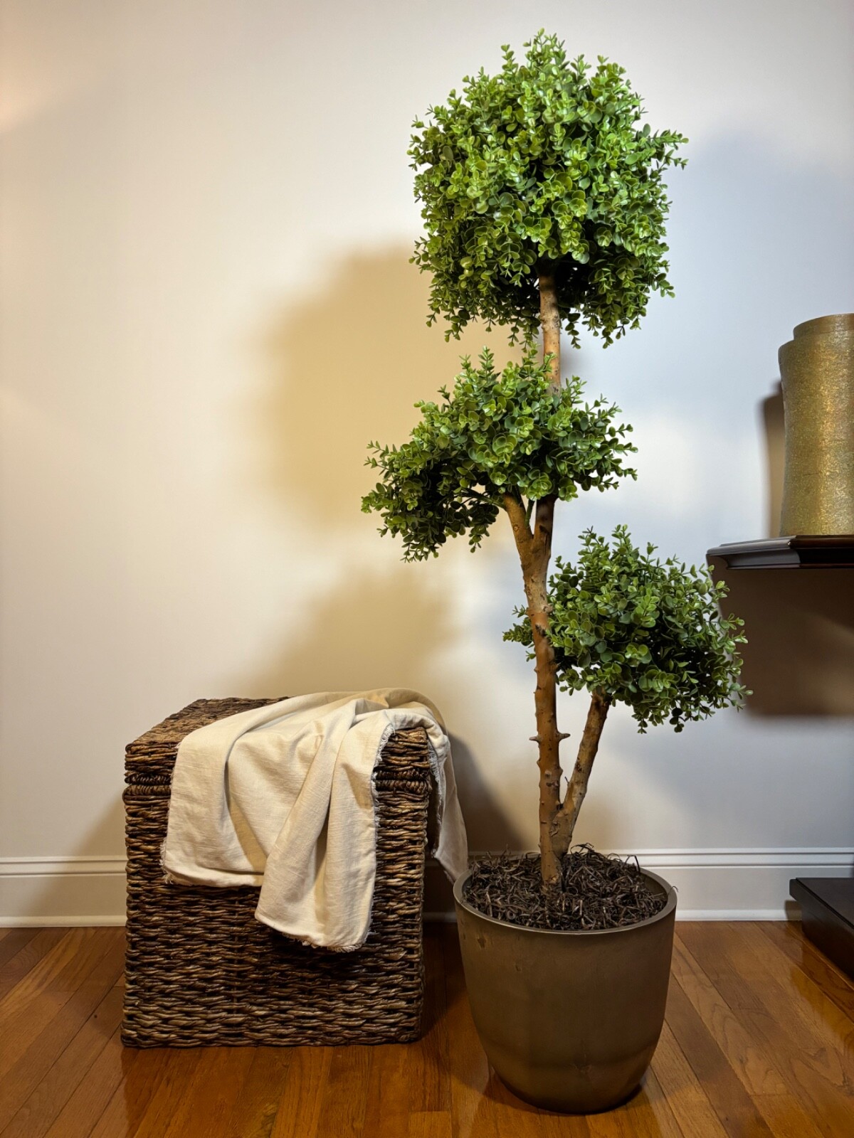 Wildwood & Cypress 57” 3-Ball Topiary Boxwood Tree Wood Trunk Outdoor Use Faux
