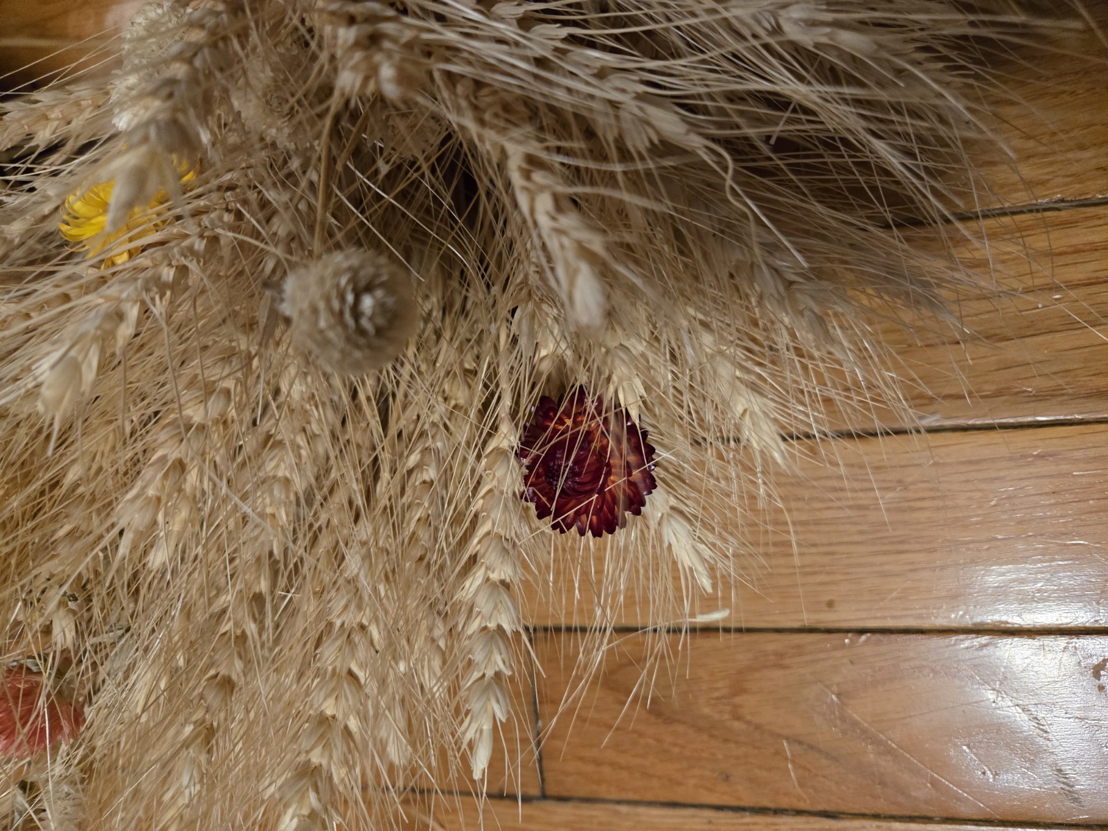 Beautiful Summer Fall Natural Dried Flower Wheat Wreath – Wall Or Door Decor