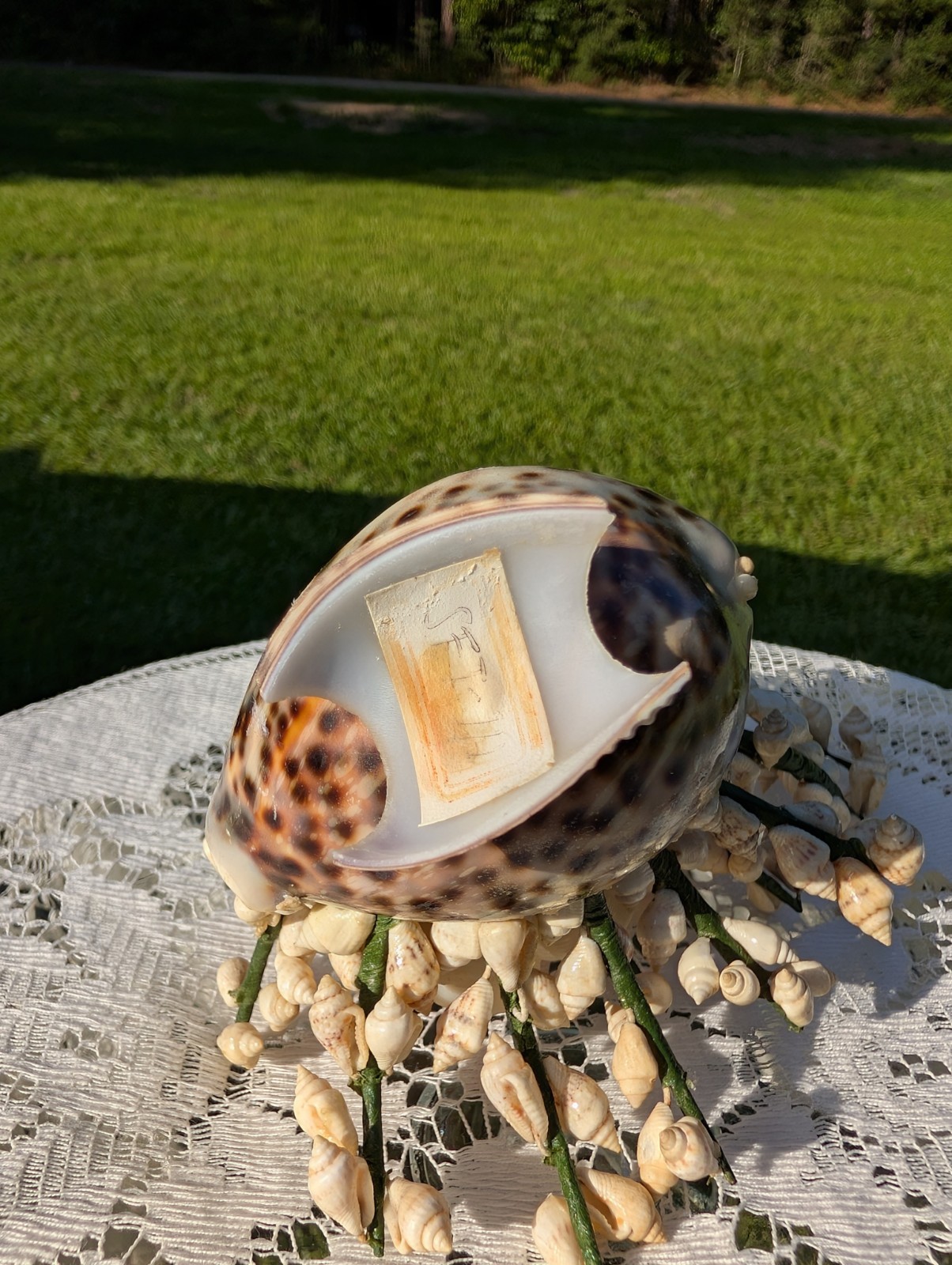 Vintage Handmade Seashell Flower Bouquet Tiger Cowrie Shell Vase Art SF-14