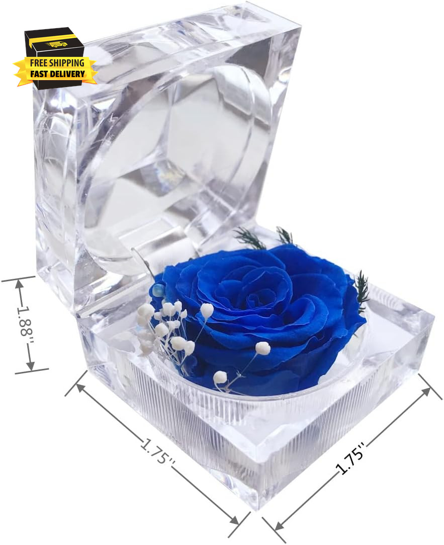 Preserved Rose Real Forever Rose in Mini Clear Ring Box, Eternal Flower Rose Gif