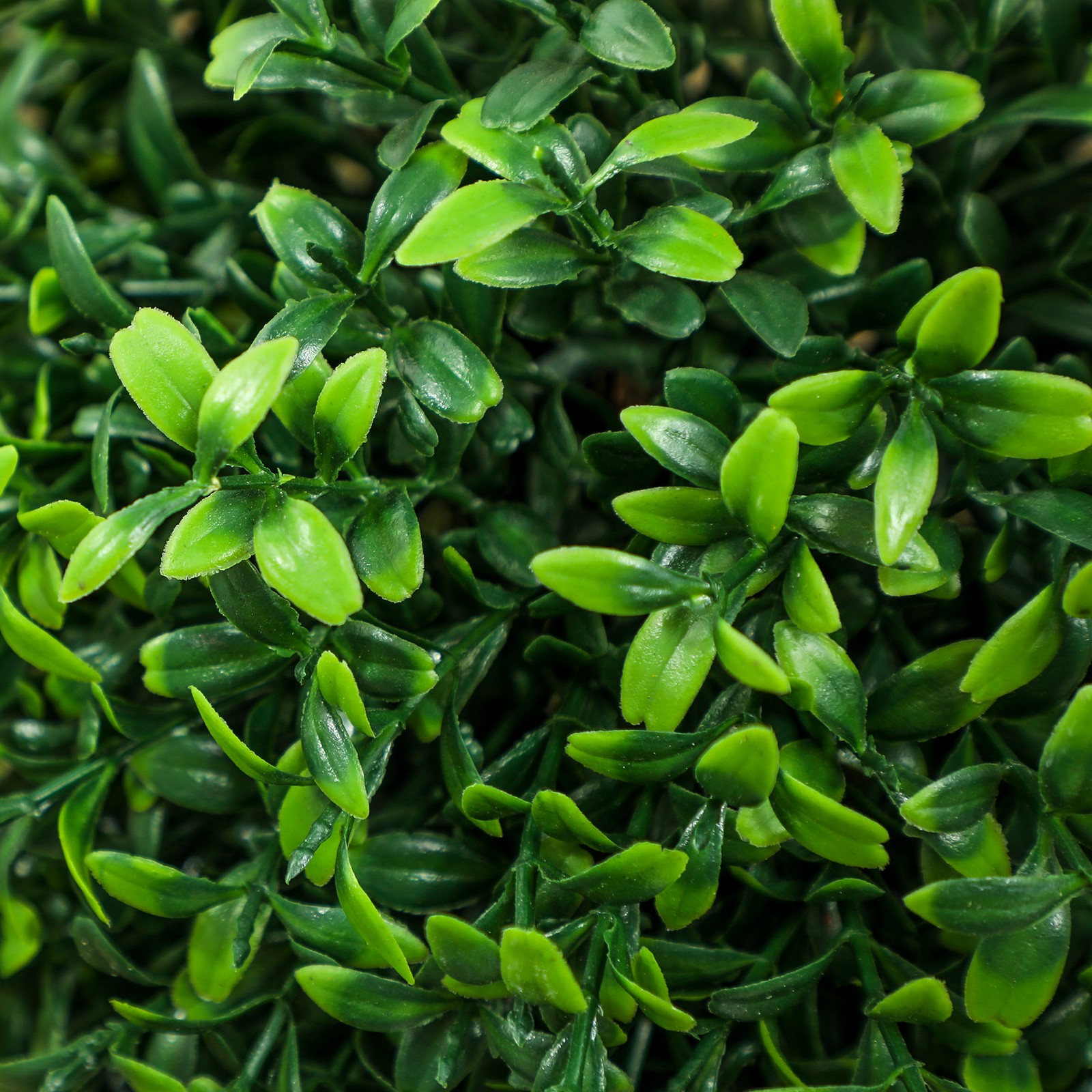 Set of 2 Decorative Artificial Plants Boxwood in Pot, 36 Inch
