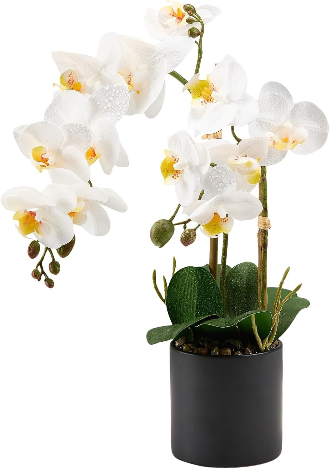 Low-Maintenance 17” Faux Orchid in Modern Black Pot – Perfect Decorative Accent