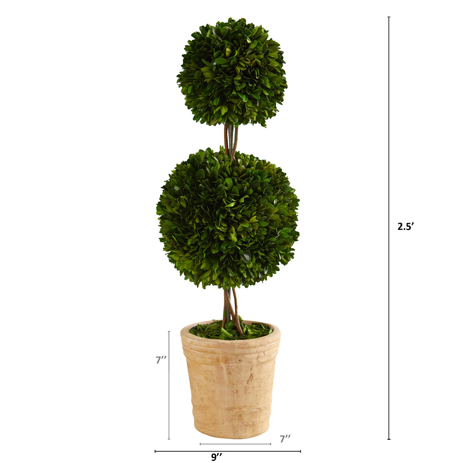 Nearly Natural 2.5ft Preserved Boxwood Double Ball Topiary Tree in Planter
