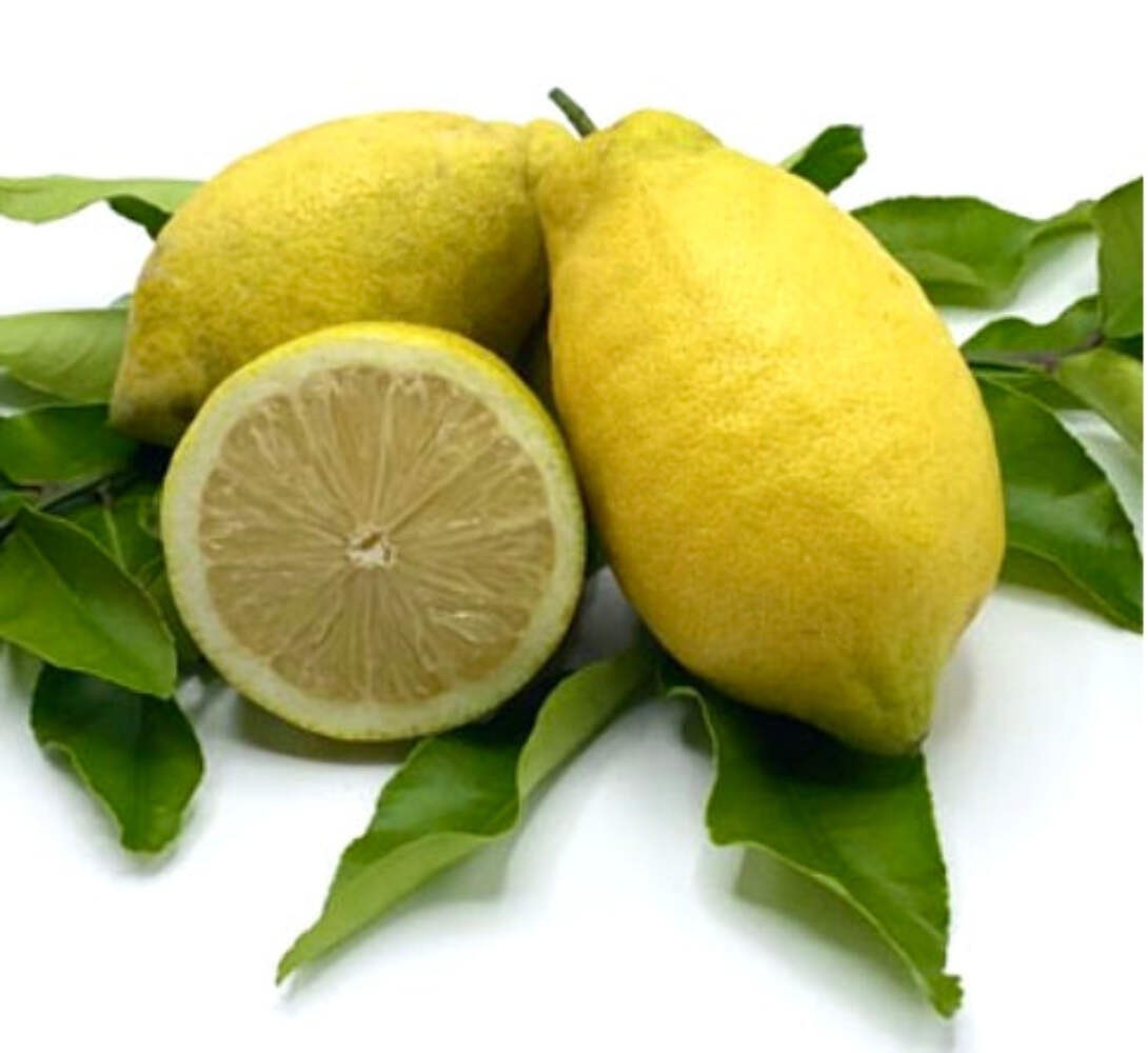 Citrus limon cv ‘Lunario’ – Lemon | Lemon tree