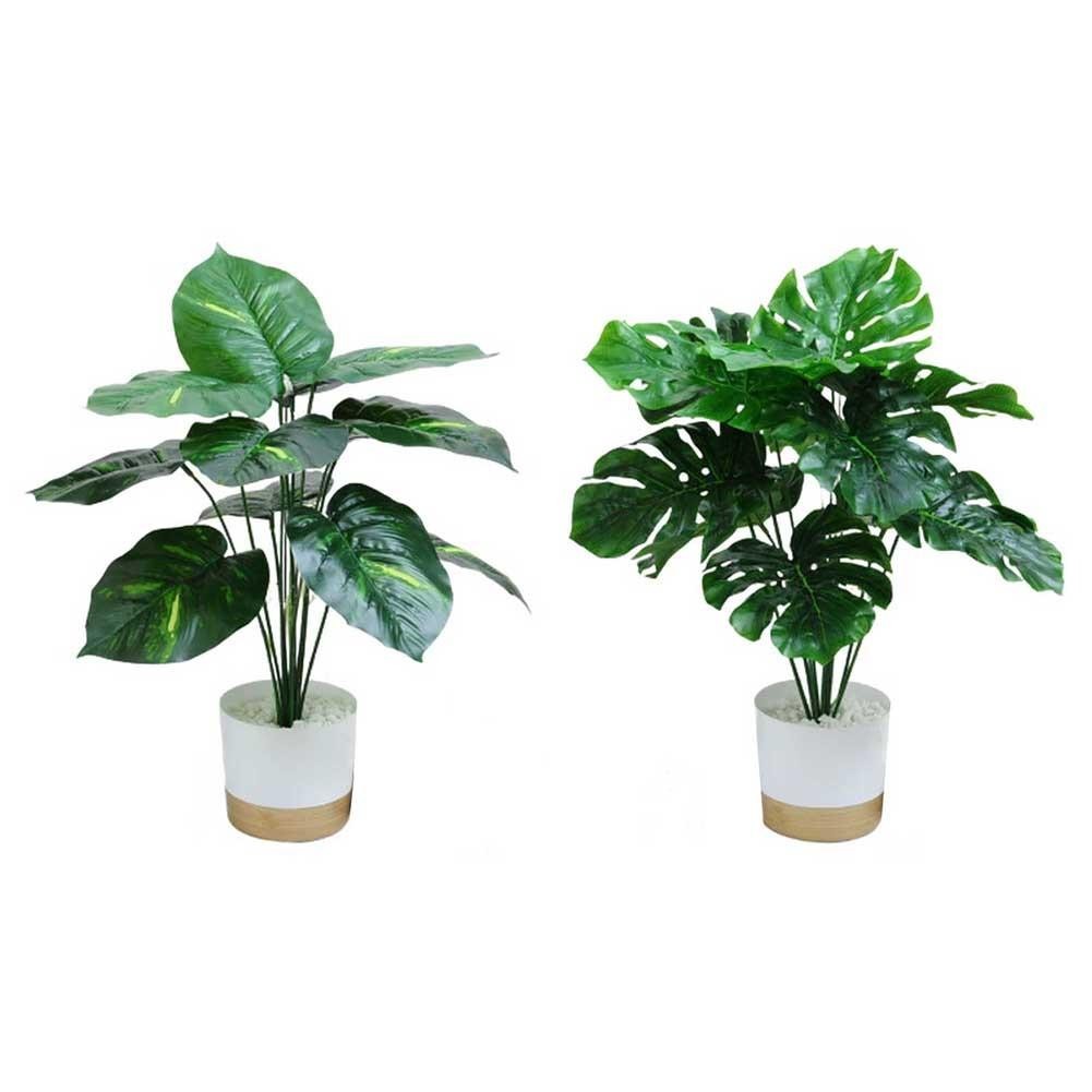 Artificial Tropical Plant Pair in White Pots for Low Maintenance Indoor Decor