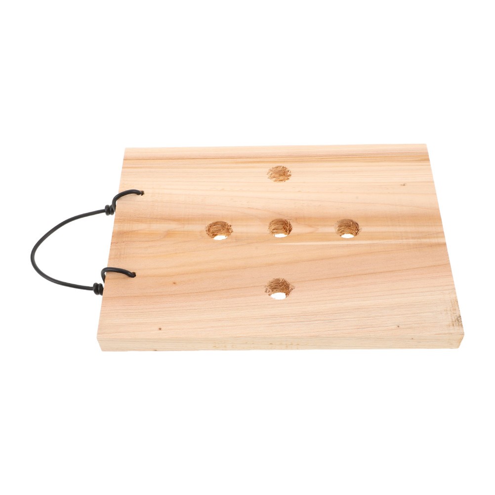 Fern Mounting Board – Hanging Planting Plate Orchids Wood Wall Planter for