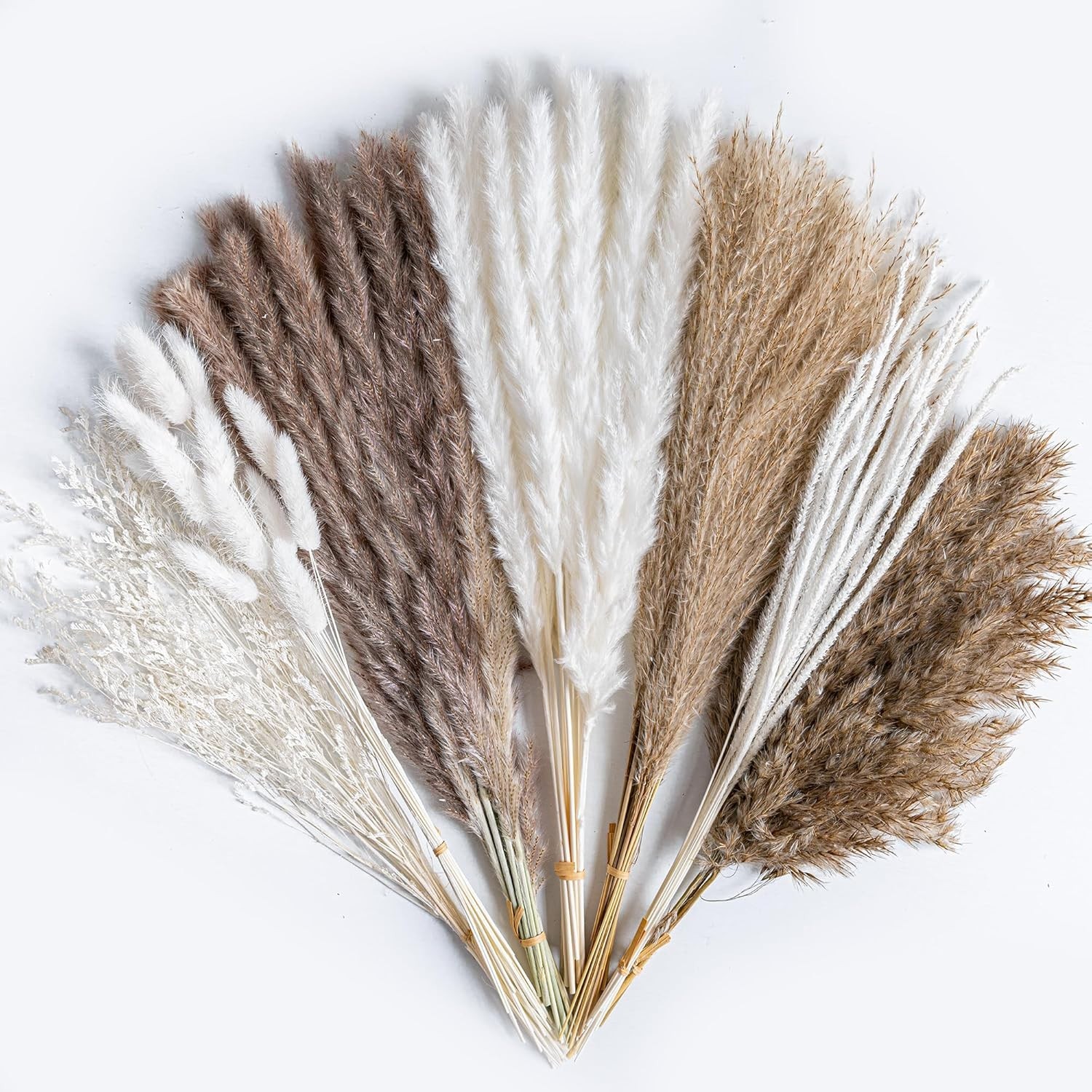 96PCS Natural Dried Pampas Grass Boho Home Decor Bouquet Phragmites Dried Flo…