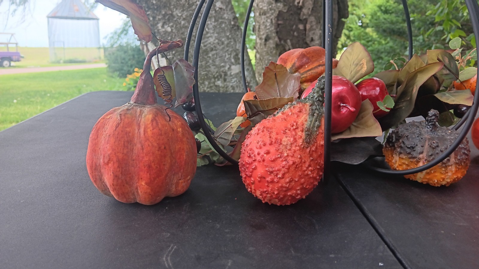 Artificial Pumpkin Apple Centerpiece in Black Metal Frame Halloween 12×24″