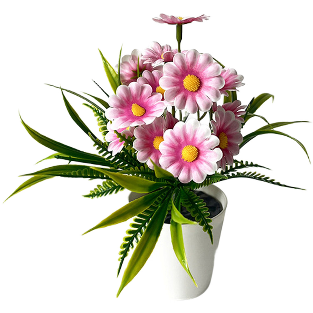 Indoor Chrysanthemum Bonsai Style Plant for Desk Nightstand Table Decor