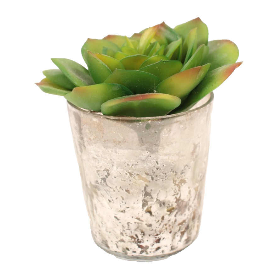 Set Of 3 Garden Faux Succulents Small Mirrored Glass Pot Artificial Plant Decor