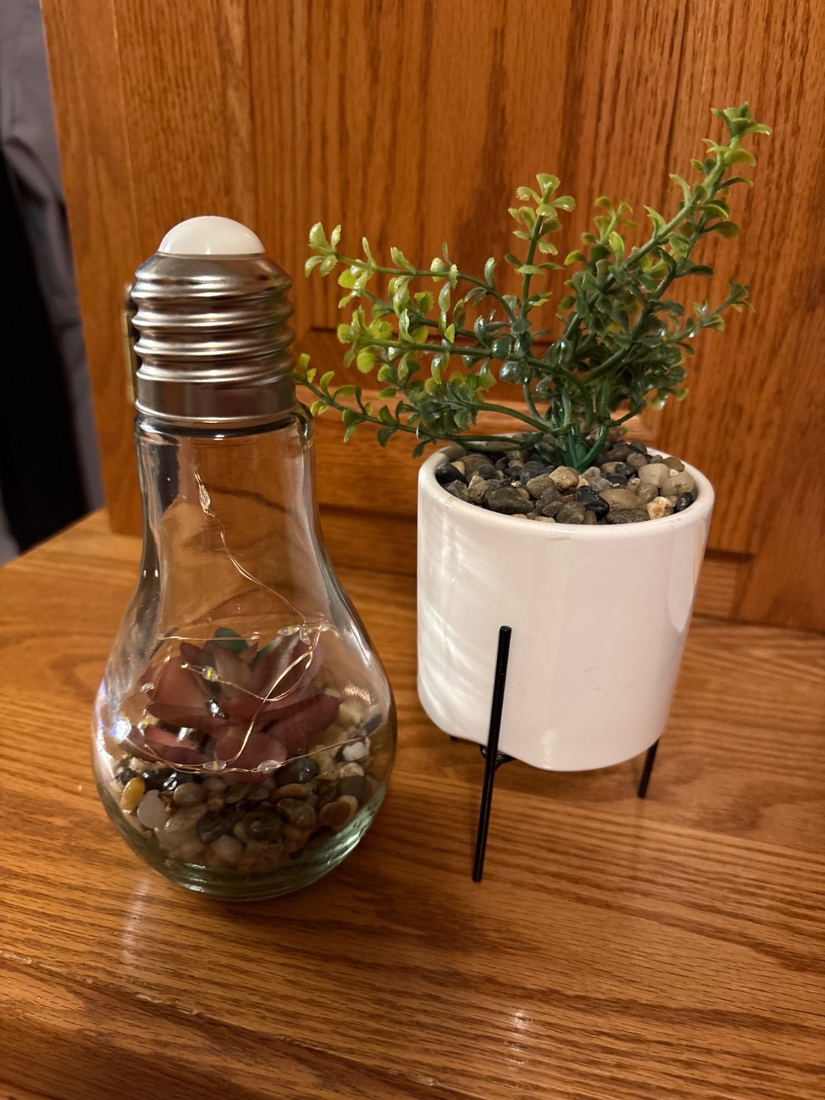 Two pieces, succulent decor