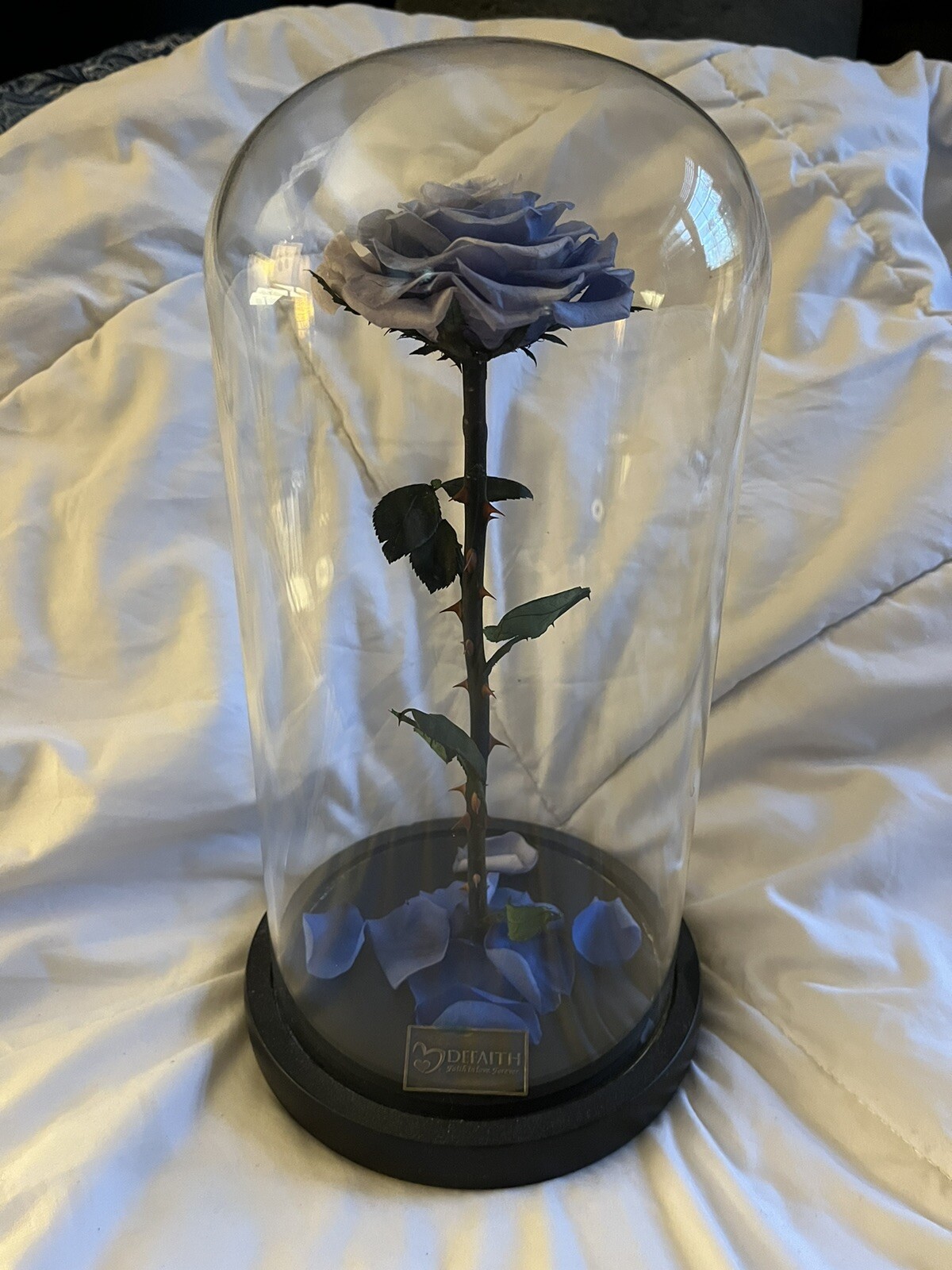 DEFAITH Upgraded Blue Real Rose 9” Beauty and The Beast Rose in Glass Forever