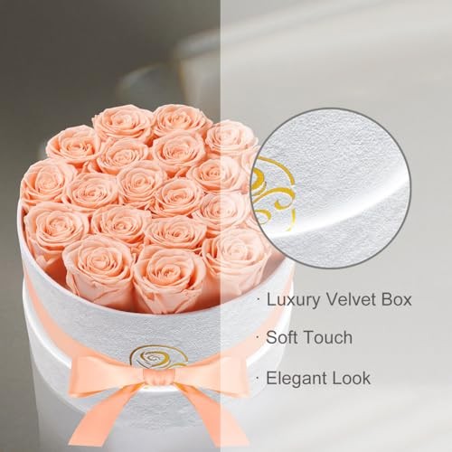 Gifts for Women Preserved Roses Flower Box, Luxury Velvet 20 Roses Peach Pink