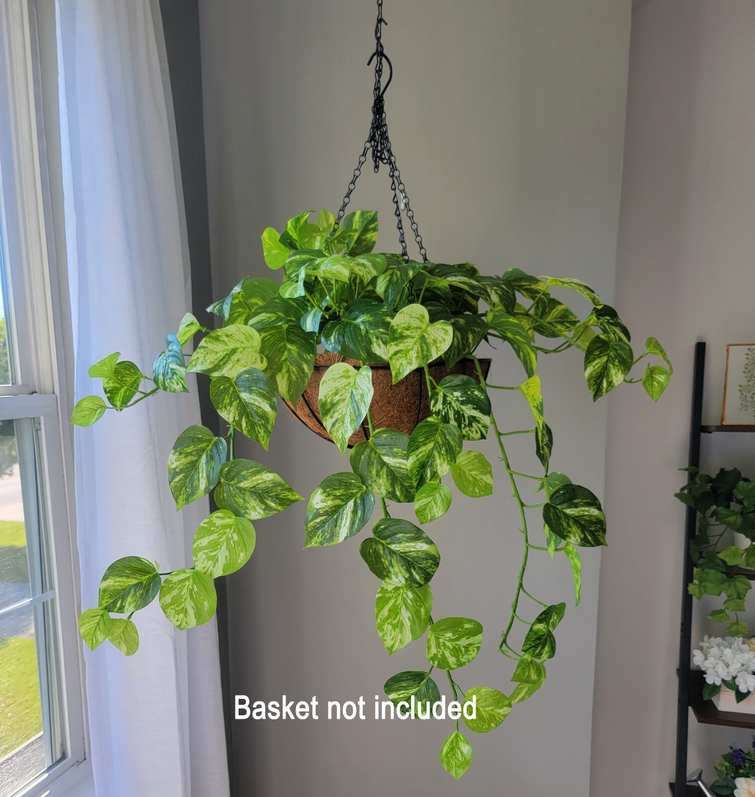31″H Marble Pothos leaf (Real Touch) Hanging Bush, 15 stems, 102 leaves