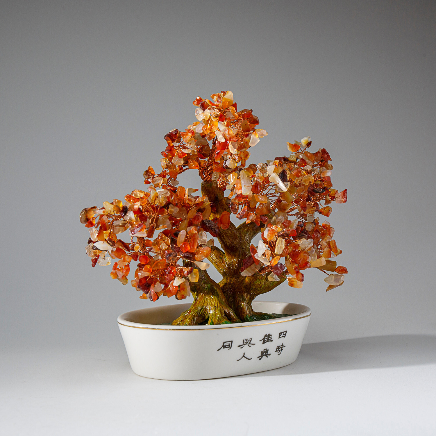 Genuine Carnelian Bonsai Gemstone Tree in Oval Ceramic Pot (8”)
