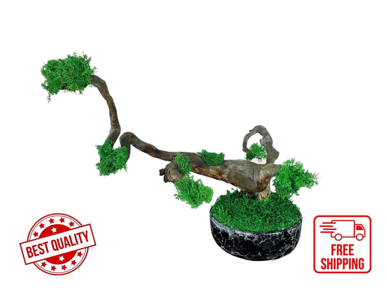 Ceramic Vase Tree Moss Art,Real Tree Branch, Handmade Home Decor, Nature Decor