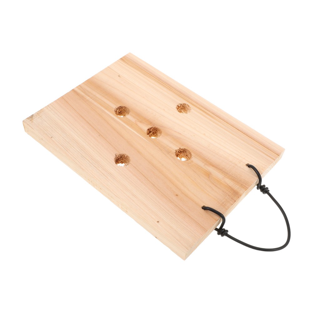 Fern Mounting Board – Hanging Planting Plate Orchids Wood Wall Planter for