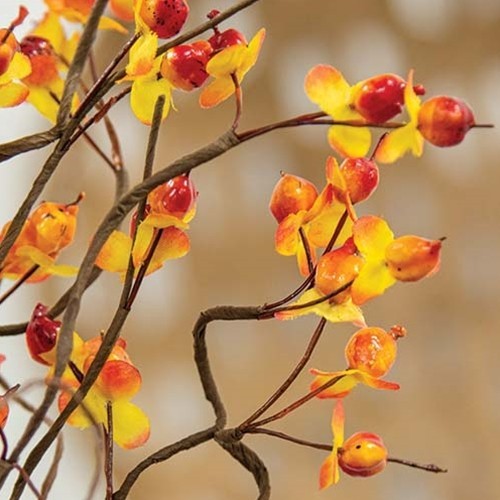 New Primitive Farmhouse RUSTIC FALL BITTERSWEET STEM Pick Bush 18″