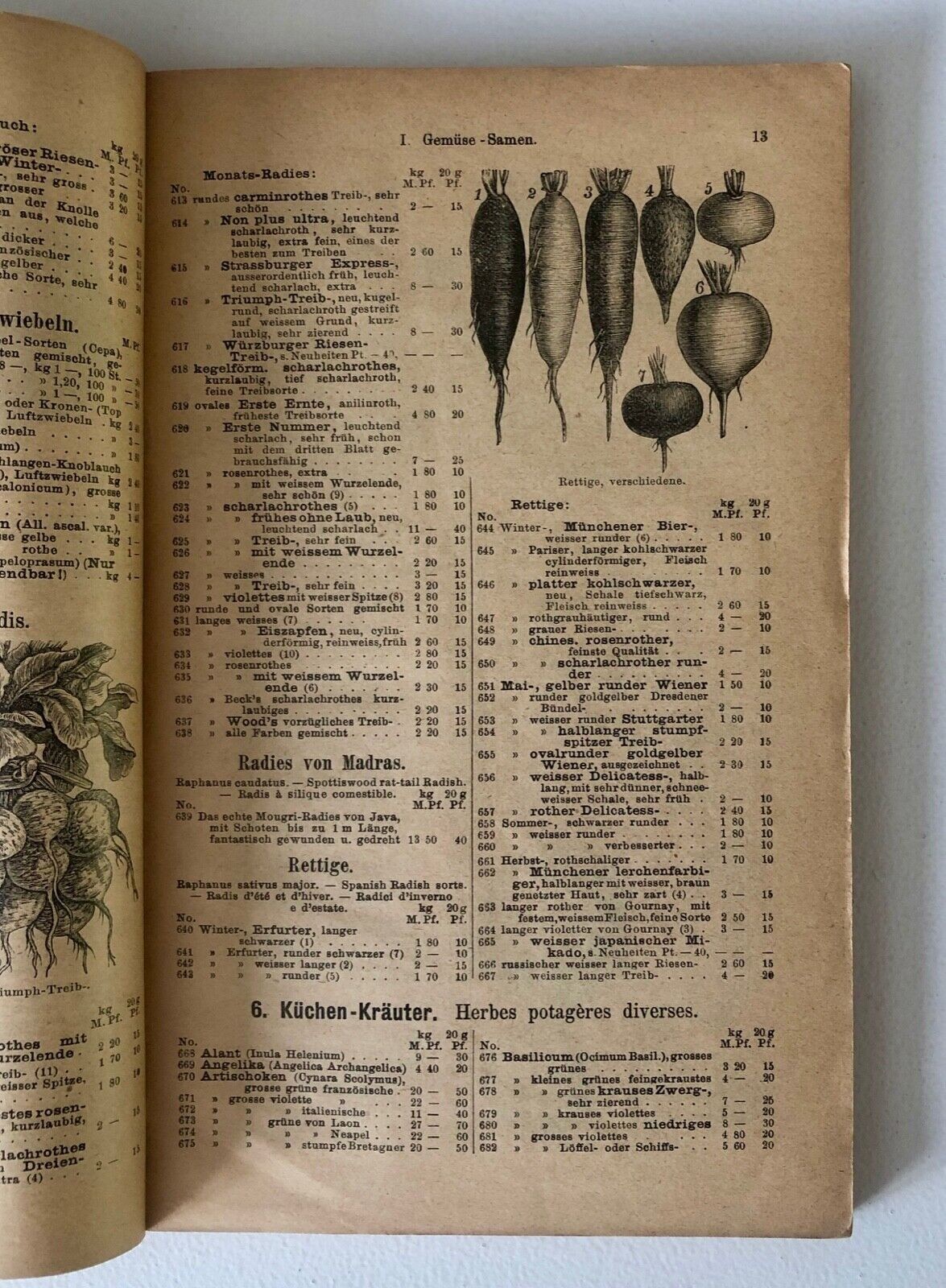 Haage & Schmidt 1903 Haupt-Verzeichniss Samen und Pflanzen –