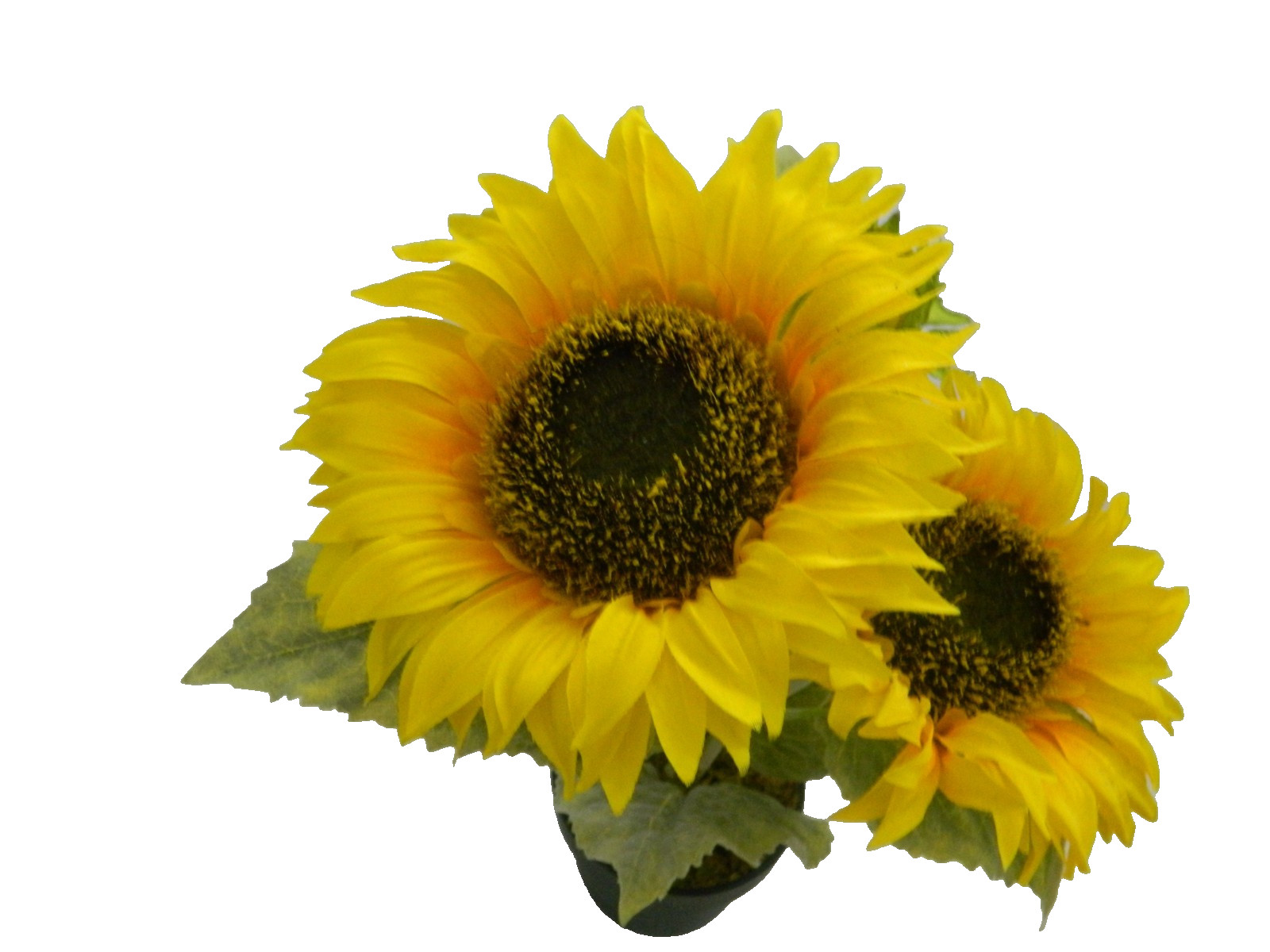 Faux Sunflowers in a pot