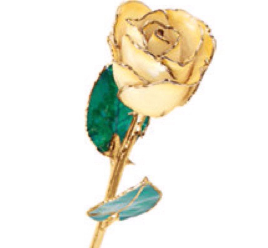 24K Yellow Gold Trimmed White Rose April Diamond White Real Long Stem Rose