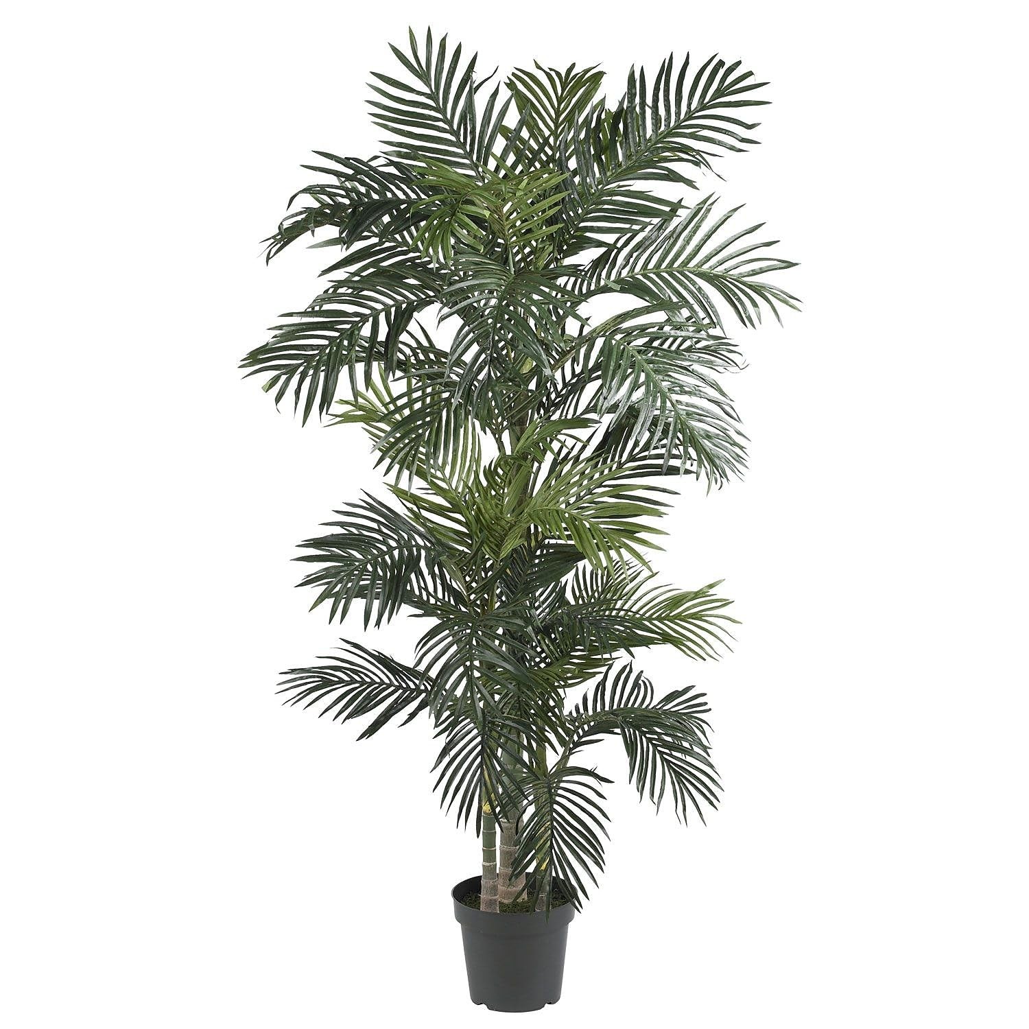 6ft 6in Golden Kane Artificial Palm Tree Silk Indoor Decor Tropical Appeal
