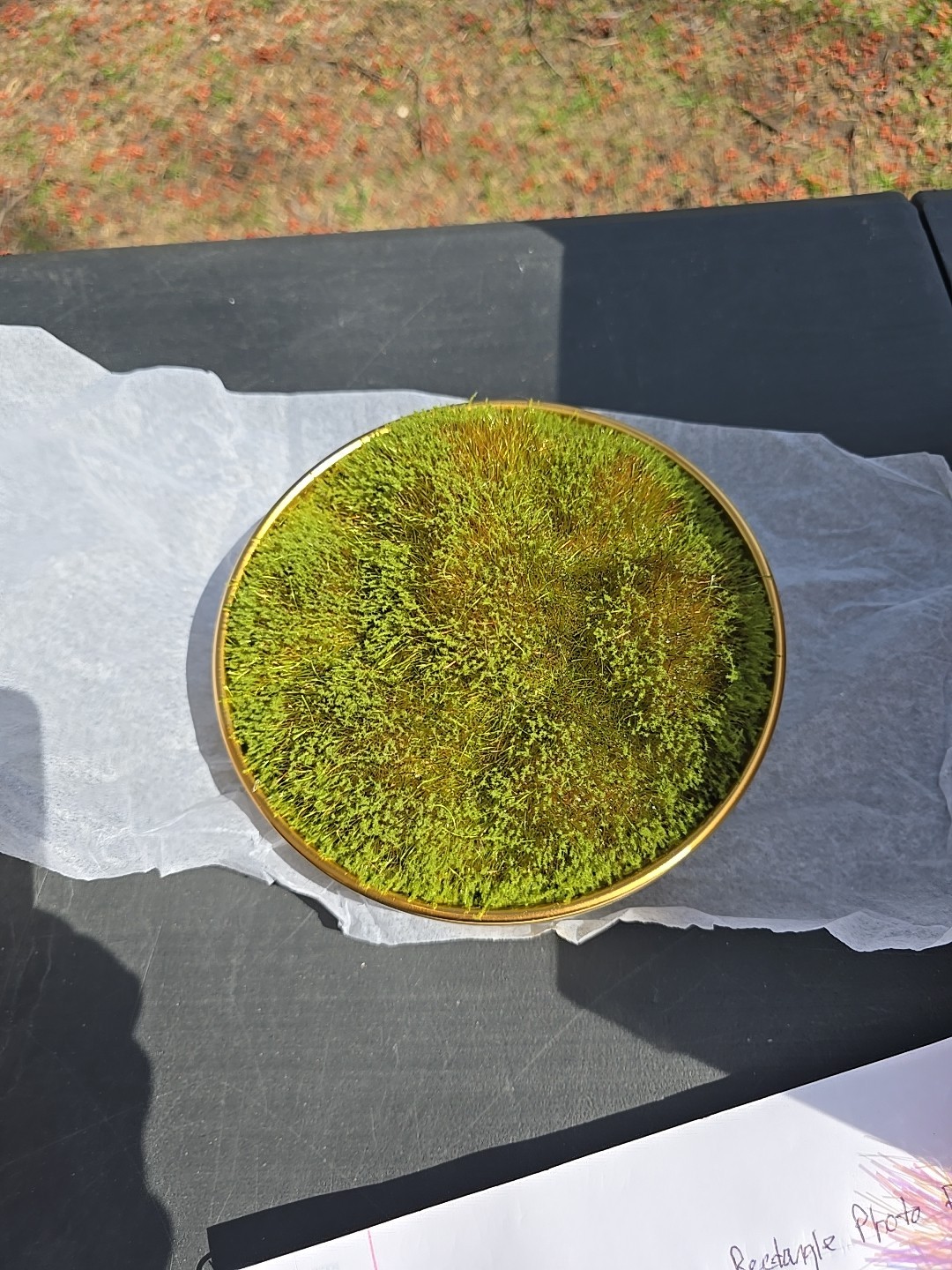 13023 Faux Floral Decor Moss in Gold Ceramic Bowl Indoor Tabletop New