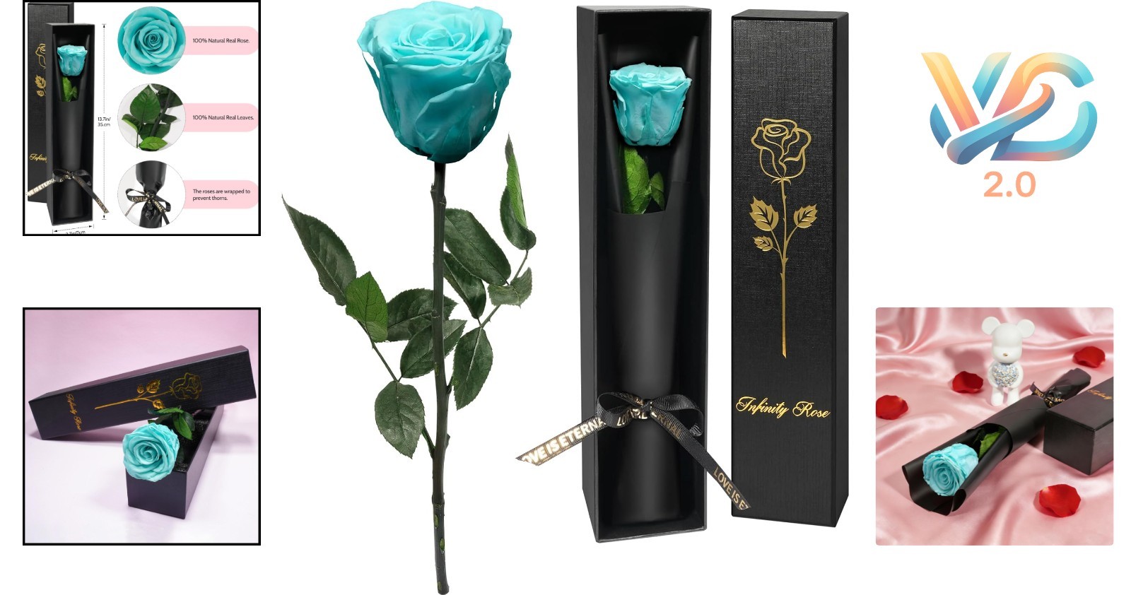 Real Preserved Rose Flower Gift for Women, Birthday, Anniversary, Mom, Gift f…