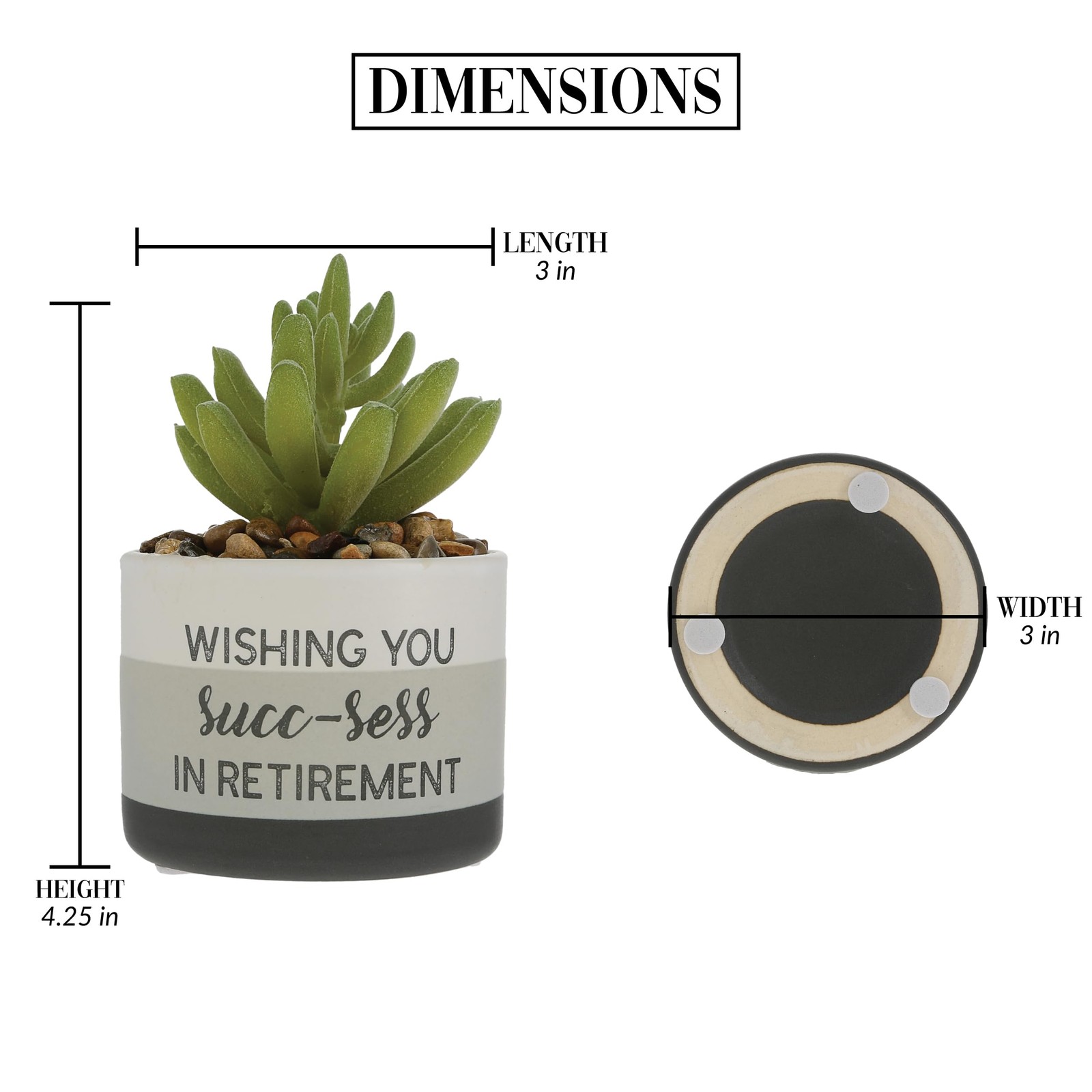 – SUCC-sess in Retirement – 5″ Artificial Plant Retirement Retired Retiree Re…