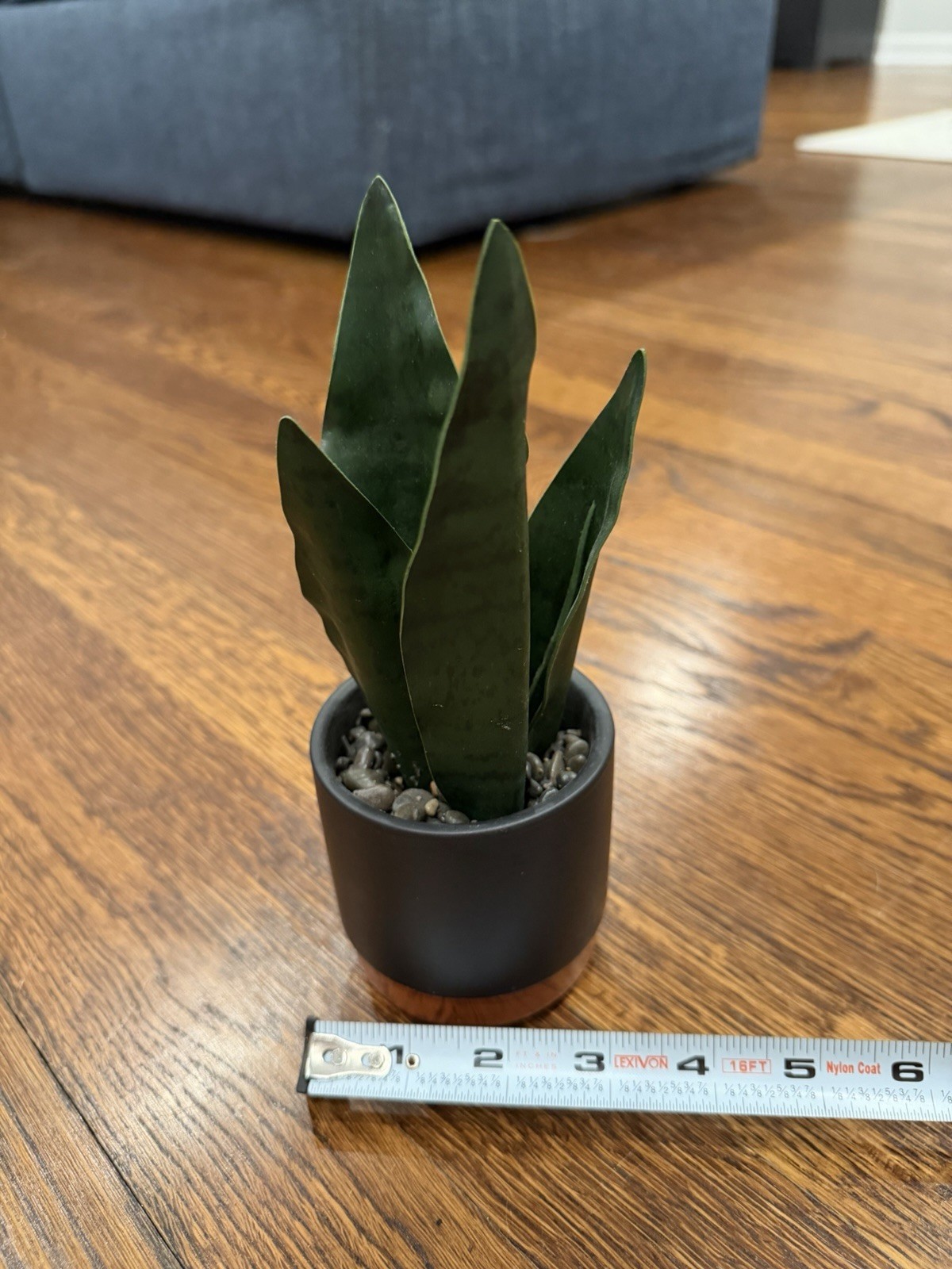 Artificial Snake Plant Houseplant in Black Pot w/ Wood Base, Pebbles, 8 in