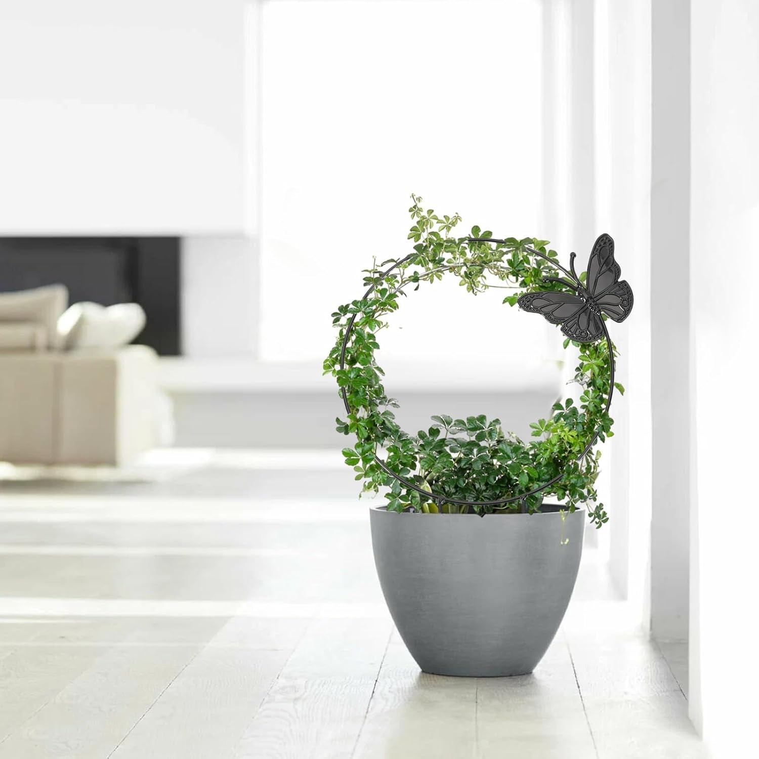 3PCS Round Metal Plant Trellis Indoor Climbing Vine Ivy Flower Support